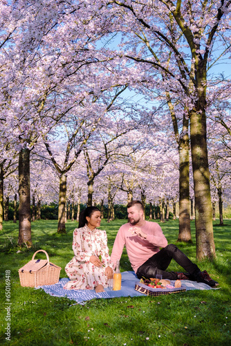 Kersenbloesempark translation flower park There are 400 cherry trees in the Amsterdamse Bos photo