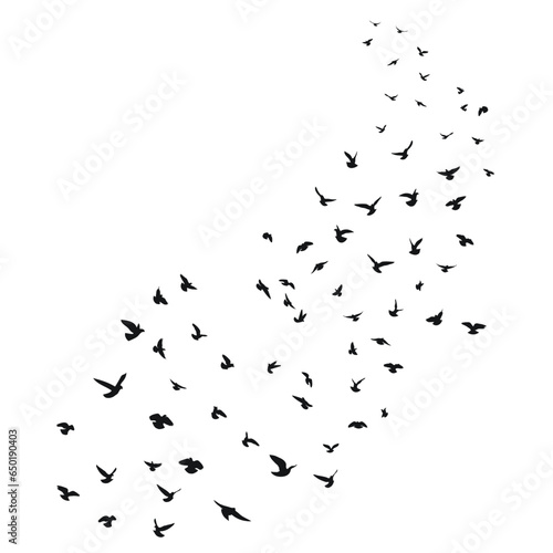 Sketch drawing of a silhouette of a flock of birds flying forward. Takeoff, flying, flight, flutter, hover, soaring, landing