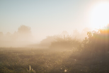 Keuken achterwand Mistige ochtendstond Heldere zon boven mistig veld  © Vitalii