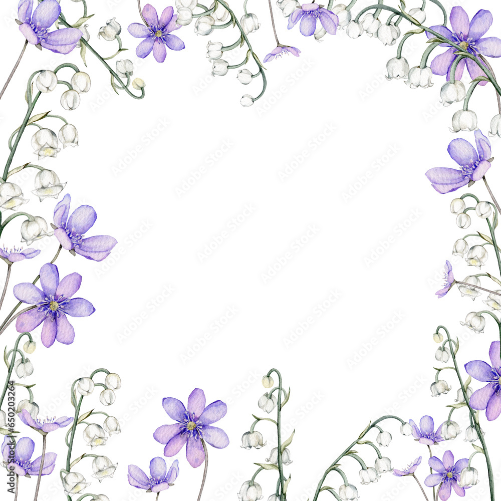 Frame watercolor spring flowers. Coppice, hepatica - first spring flowers. Spring lily of the valley Illustration of delicate lilac flowers. Hand drawn texture with white and violet flowers