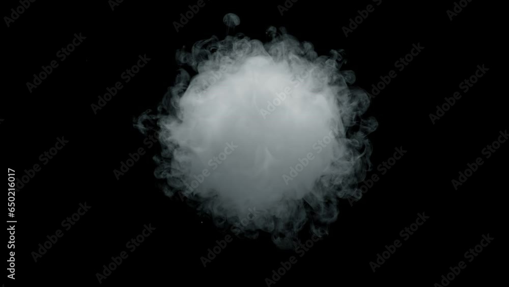 Super Slow Motion Shot of Round Smoke Explosion Towards Camera Isolated on Black at 1000fps. Super Slow Motion Shot of Round Smoke Explosion Towards Camera Isolated on Black at 1000fps.