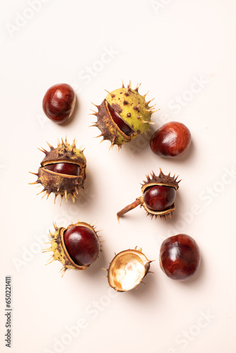 Chestnuts fruits on a light background. Ripe chestnuts. Cracked chestnuts.