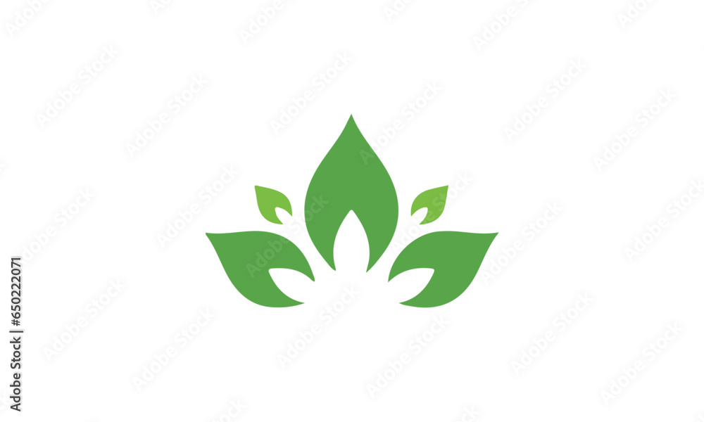 green leaf in a hand