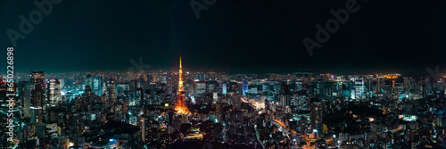 panoramic, tourist attractions in the city park of Tokyo, Asia business concept image, panoramic modern cityscape building in Japan. 