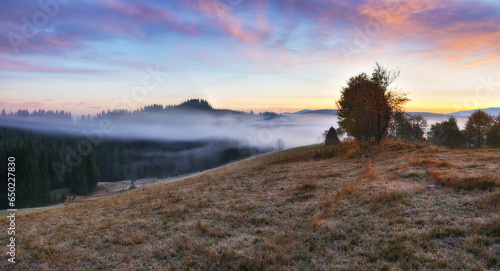 morning in the Carpathian Mountains. Morning fog in the mountains. Nature of Ukraine © sergnester
