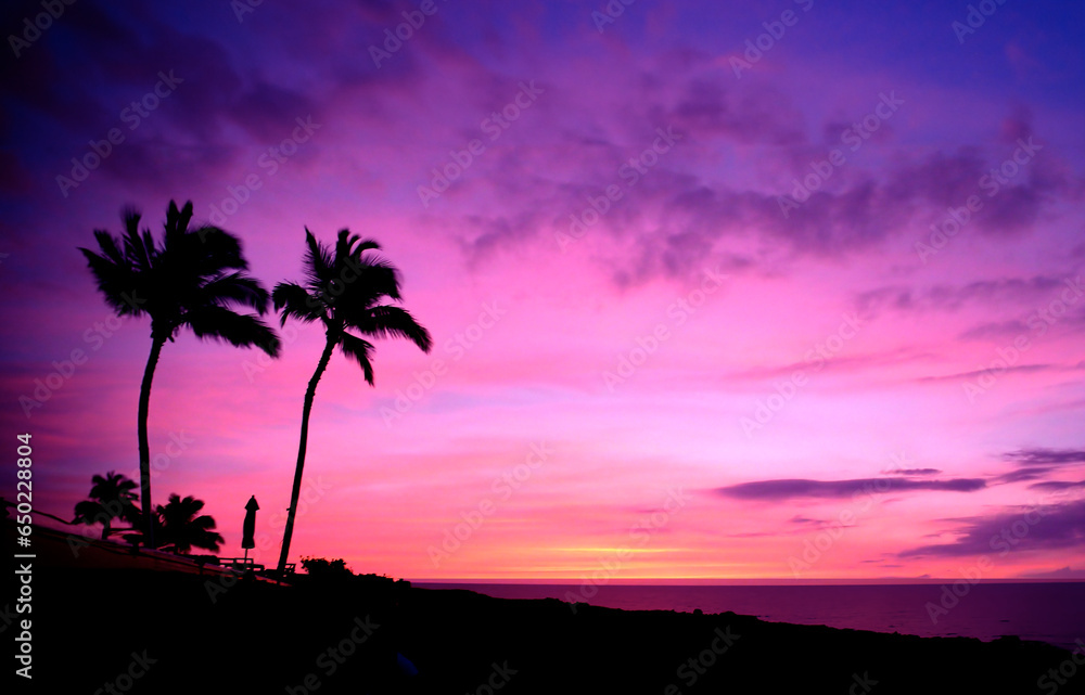 Hawaiian Palm Trees at Sunset with Purple Sky on Big Island