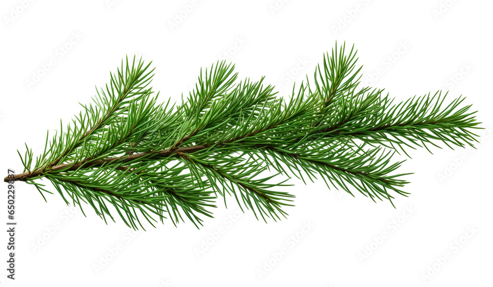Christmas pine branch on white background with free space for text. AI generated - obrazy, fototapety, plakaty 