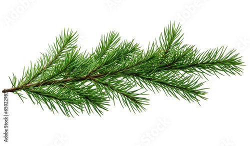 Christmas pine branch on white background with free space for text. AI generated