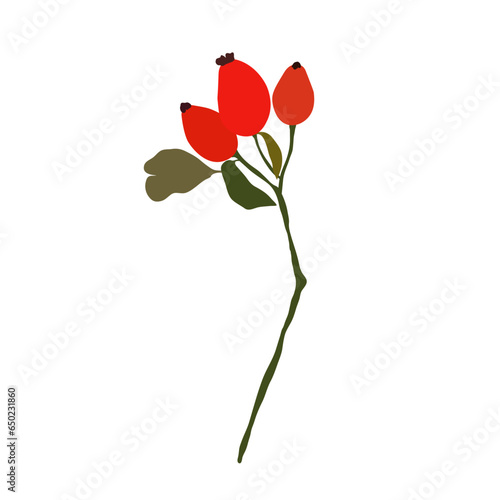 Abstract branch with leaves and red rose hips, element on isolated white background in flat cartoon style. For design, decoration, object.