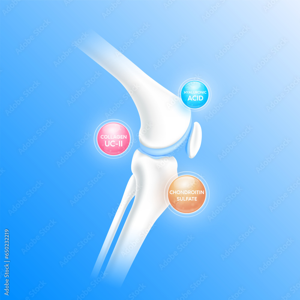 Collagen hyaluronic acid and chondroitin sulfate surround bone