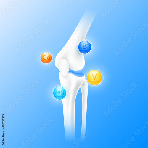 Calcium Boron Vanadium and Magnesium surround bone cartilage. Vitamins minerals care bone knee joint. Healthy human skeleton anatomy isolated on blue background. Realistic 3D vector.