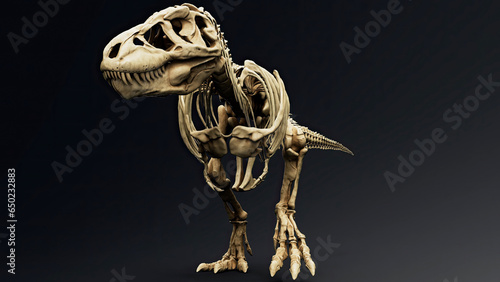 Trannosaurus Rex Sue Skeleton render of background. 3d rendering