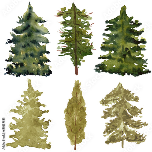 Watercolor Forest tree. Conifer  trees setWoodland background