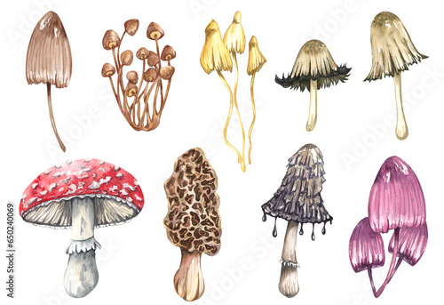 Watercolor poisonous mushrooms set, isolated on white background. Autumn forest illustration