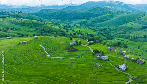 landscape for background of rice terraces field at Ban Pa Bong Piang Chiang Mai Province, Northern of Thailand, aerial view.