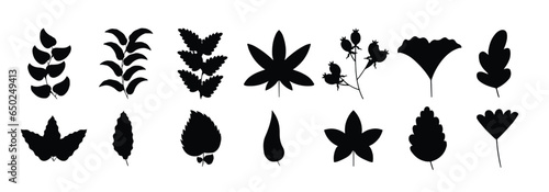 trees silhouettes set isolated vector illustration.
