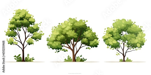 Tree on white background isolated. Nature illustration. Eco friendly artistry. Green landscape design. Whimsical woodlands. Summer embrace. Graphic garden