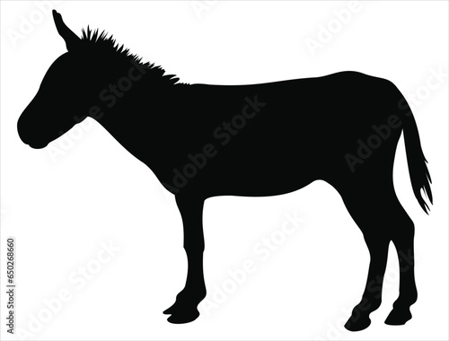 Mule silhouette vector art white background