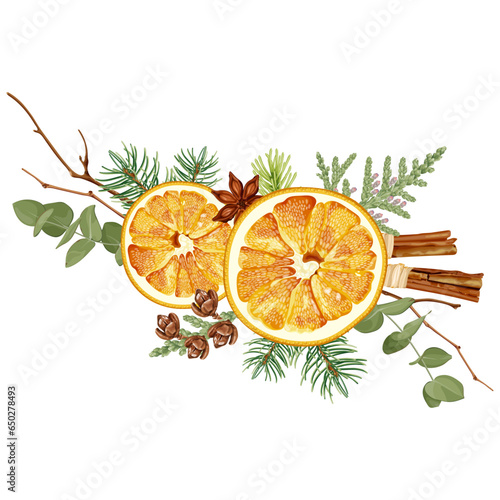 Christmas decorations with dried orange, spruce, thuja, cinnamon,  fir, anise. The aroma of bouquets. Cozy decor. Homemade holiday decorations. Stock vector illustration.