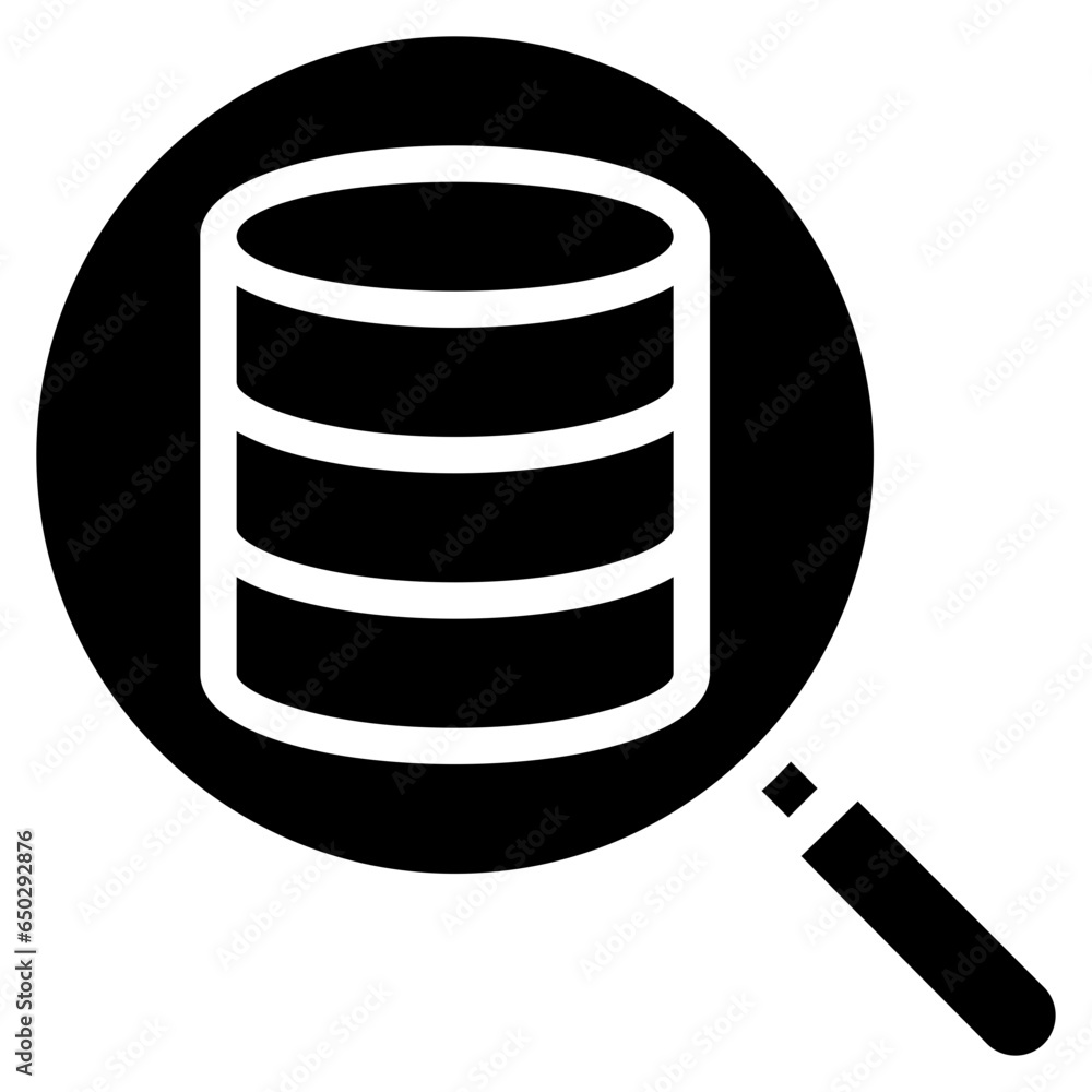 Database Search Loupe Icon
