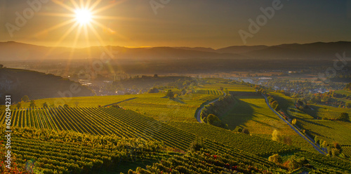 Weinberge Herbst Sonnenuntergang Stimmung