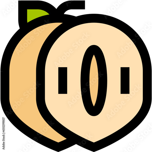 Sapodilla Vector Icon Design Illustration