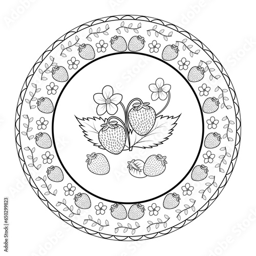 Vector illustration of strawberries with mandala frame for coloring book, fragole con cornice mandala vettoriali da colorare per adulti