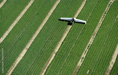 Gurkenflieger