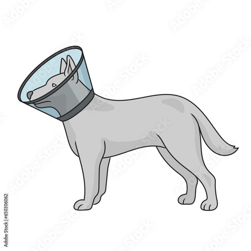 Elizabethan collar pet cone treat funnel on dog diagram schematic vector illustration. Medical science educational illustration