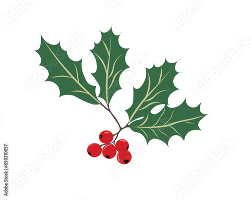 Vector illustration of a cartoon rowan tree with foliage on a white background