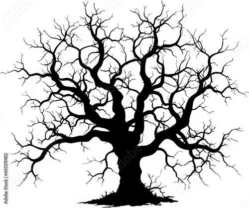 Black silhouette of a gnarled dry tree on a white background. A tree without leaves. Lifeless witchcraft gloomy tree. Halloween graveyard driftwood. Druids, goblin and witches. Vector illustration.