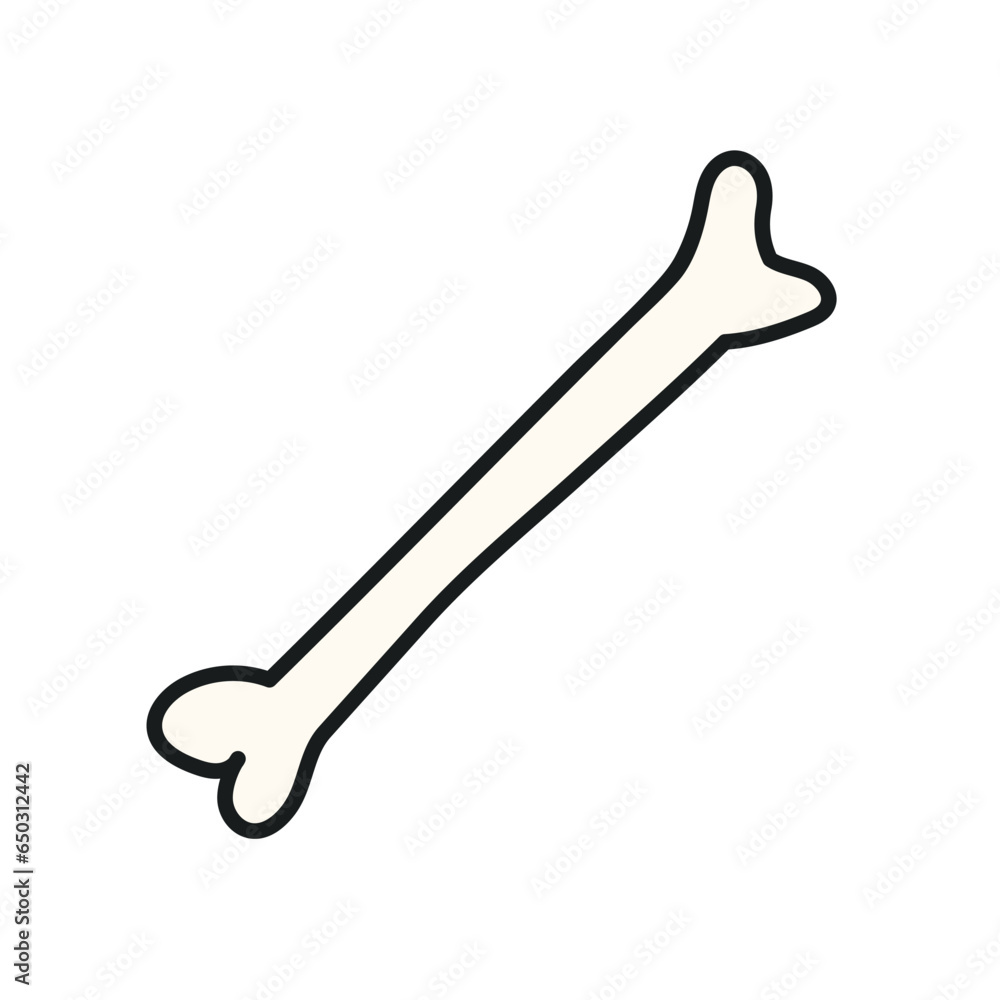 Fototapeta premium Human, animal bone hand drawn Halloween illustration. Cartoon style flat design, isolated vector. Kids seasonal print, autumn holiday, costume party element, decoration, dog treat, anatomy, biology