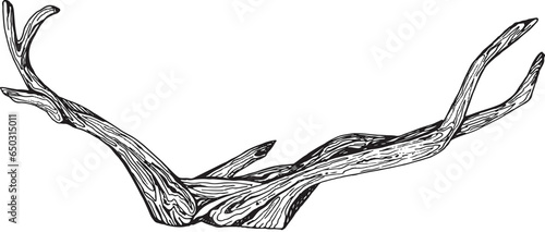 Illustration in black and white graphics driftwood, branch isolated. Hand-drawn translated into vector. Designed for design, printing on fabric, packaging, prints, stickers, posters, postcards
