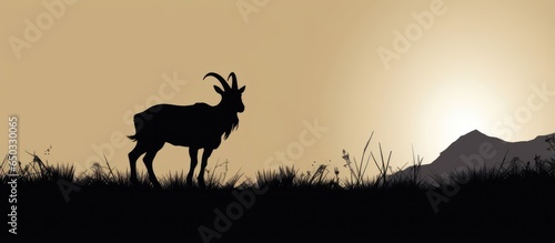 Goat in black silhouette