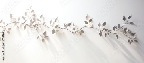 White background with abstract silhouette shadow of tree branch and leaf in morning sunlight Space for text