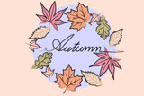 Vector autumn leaves. line drawing of autumn leaf. Autumn text font and leaves isolated on background vector.