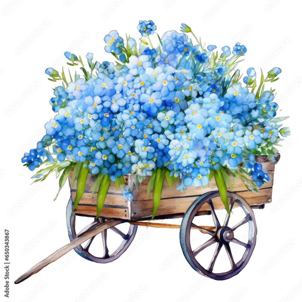 Wagon full of forget-me-not flowers, isolated