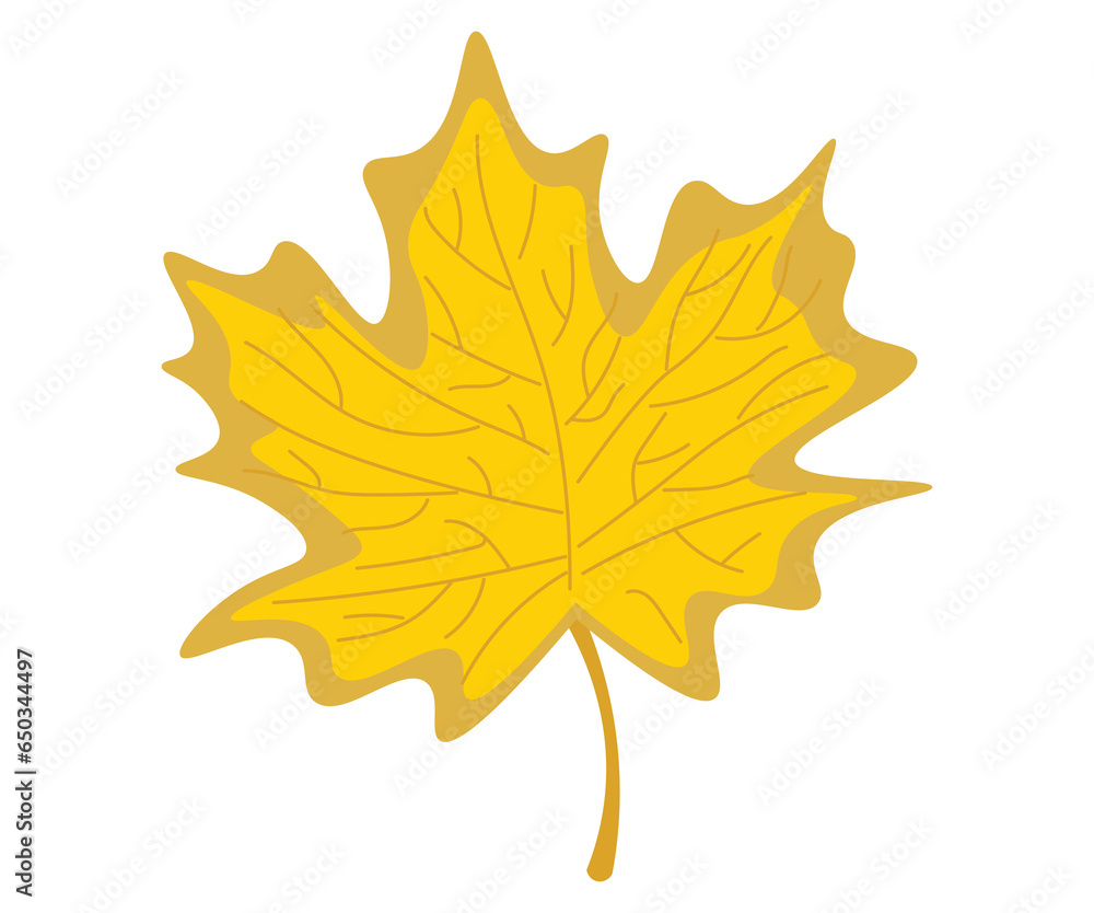 Fototapeta premium leaf 