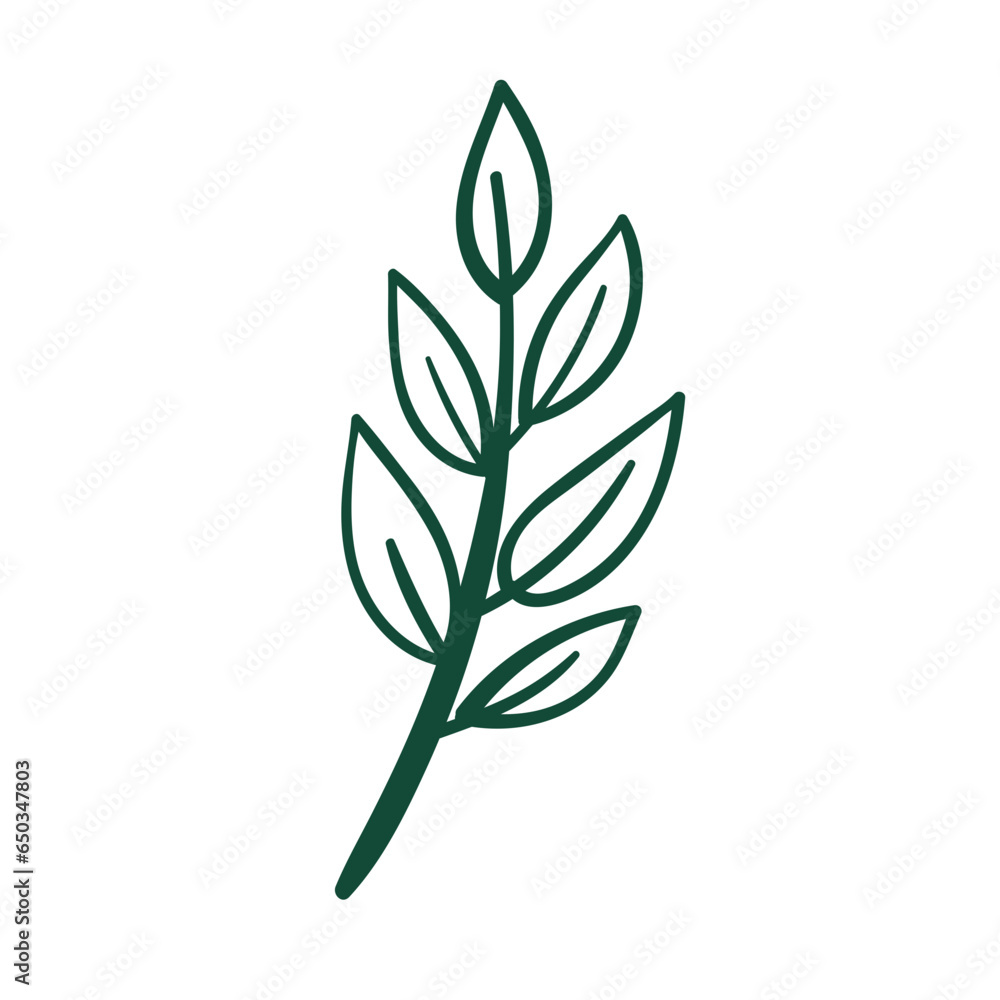 Fototapeta premium Plant Illustration