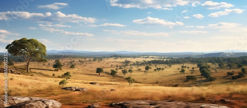 In the Midst of the Savanna, The Beauty of the Wild Nature photo