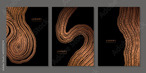 Set of templates. Luxury golden background with wood annual rings texture. Banner with tree ring pattern. Stamp of tree trunk in section. Natural wooden concentric circles. Black and bronze background photo