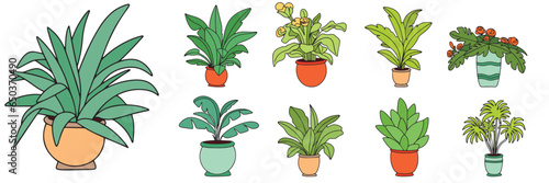 Big collection houseplant colored outline. Hand drawn houseplant in doodle style isolated on white background.  Vector illustration.