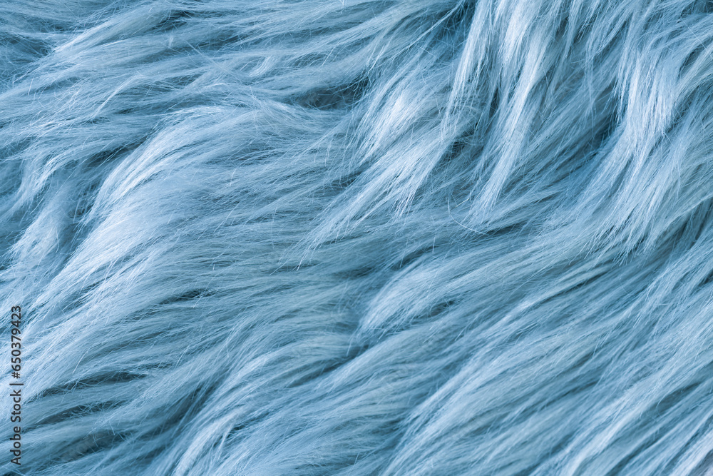 Blue fur texture top view. Blue sheepskin background. Fur pattern. Texture of blue shaggy fur. Wool texture. Sheep fur close up - obrazy, fototapety, plakaty 