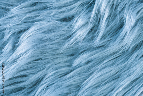 Blue fur texture top view. Blue sheepskin background. Fur pattern. Texture of blue shaggy fur. Wool texture. Sheep fur close up