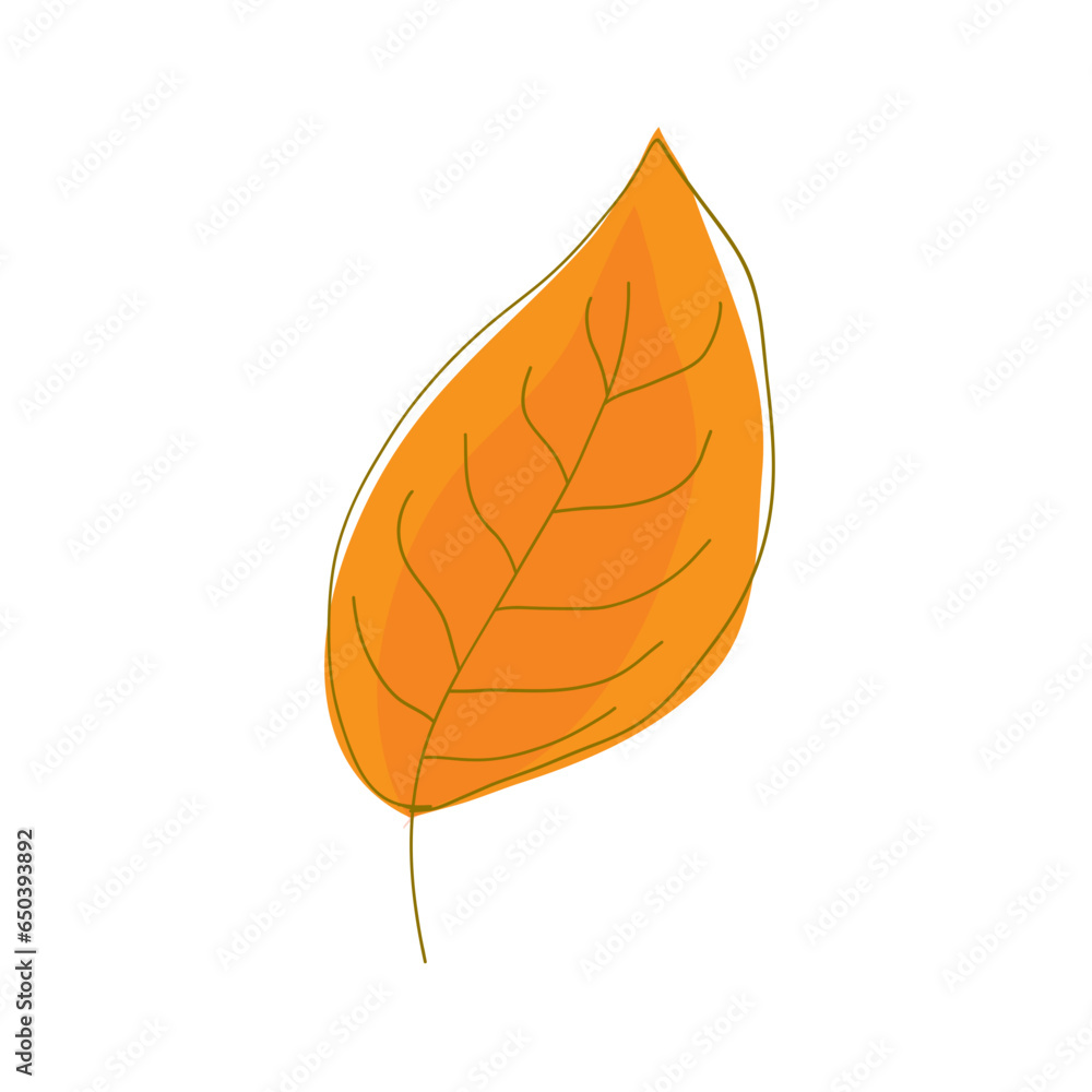 leaf isolated on white leaf isolated on white