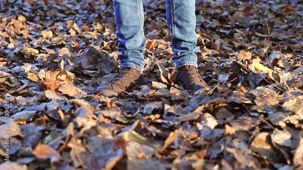 The legs of a young man in blue jeans and brown boots scatter on the sides of the autumn withered foliage, close-up view from below in slow motion. The legs of a young man in blue jeans and brown boots scatter on the sides of the autumn withered foliage, close-up view from below in slow motion.