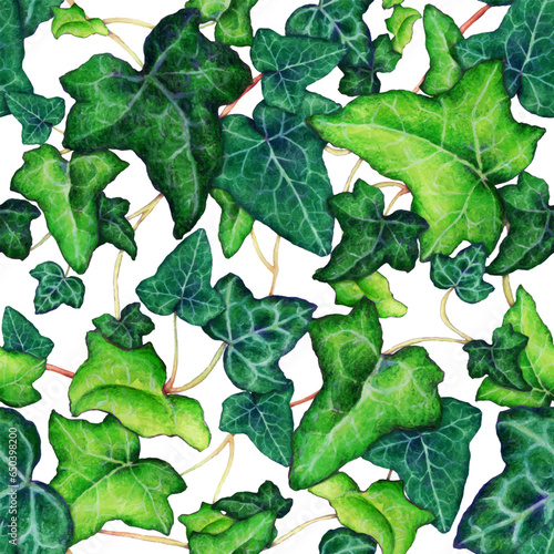 illustration of ivy leaves pattern