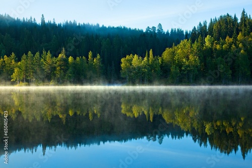 Obraz na plátne Tranquil lake surrounded by fog in a lush green forest area