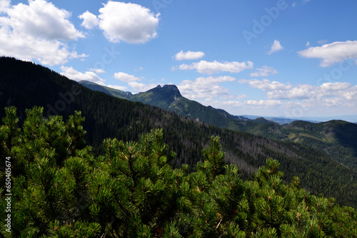Stunning summer view in mountains Tatra Poland. Blue sky, pine trees, spruce trees, peak
