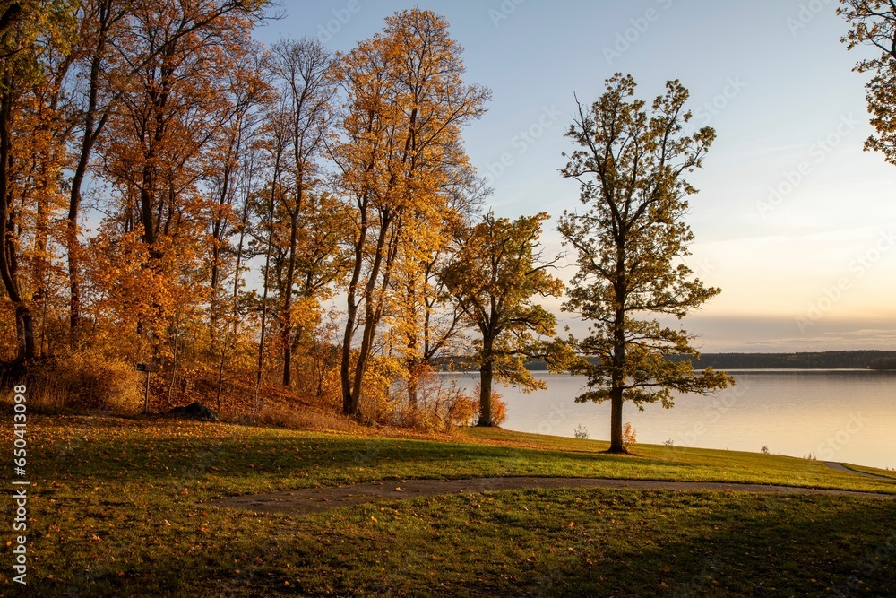 Grassy hill covered in trees overlooking a tranquil lake Grassy hill covered in trees overlooking a tranquil lake